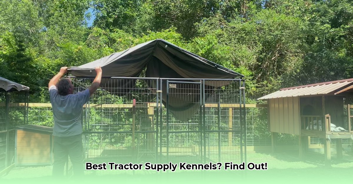 kennels-tractor-supply